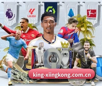 king-xiingkong.com.cn APP(xingkong)